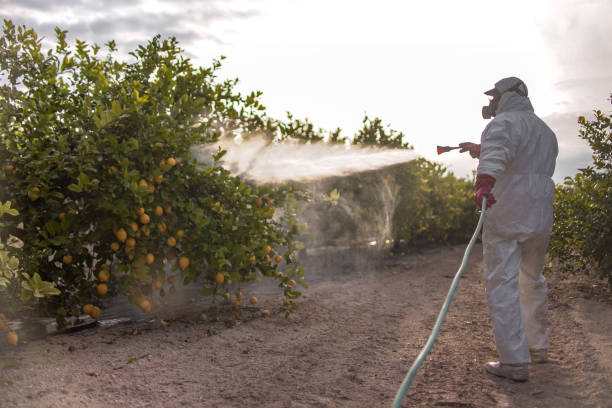 Best Insect Control  in Urbana, IL