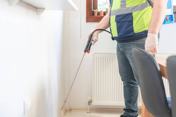 Best Wasp Removal Services  in Urbana, IL