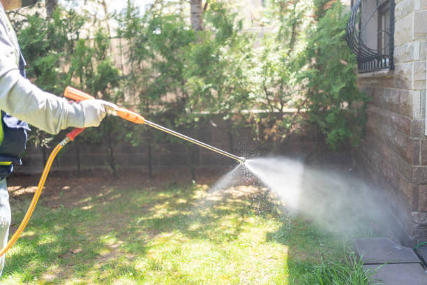 Best Affordable Pest Control Services  in Urbana, IL