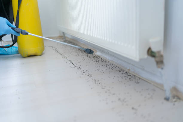 Pest Control for Restaurants in Urbana, IL