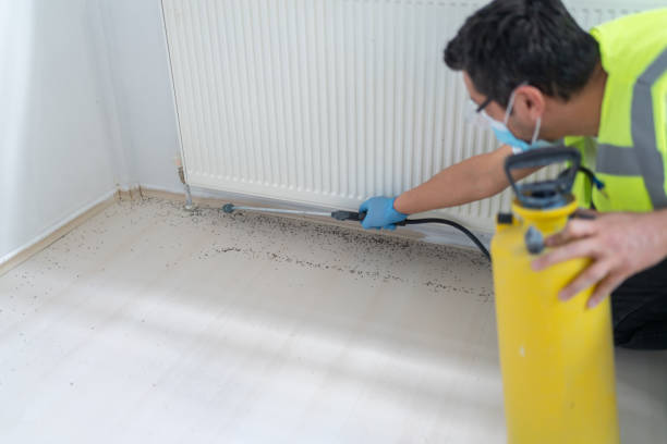 Best Pest Control Near Me  in Urbana, IL