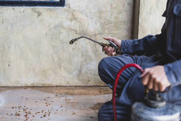 Best Exterminator Services  in Urbana, IL