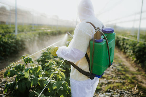 Professional Pest Control in Urbana, IL